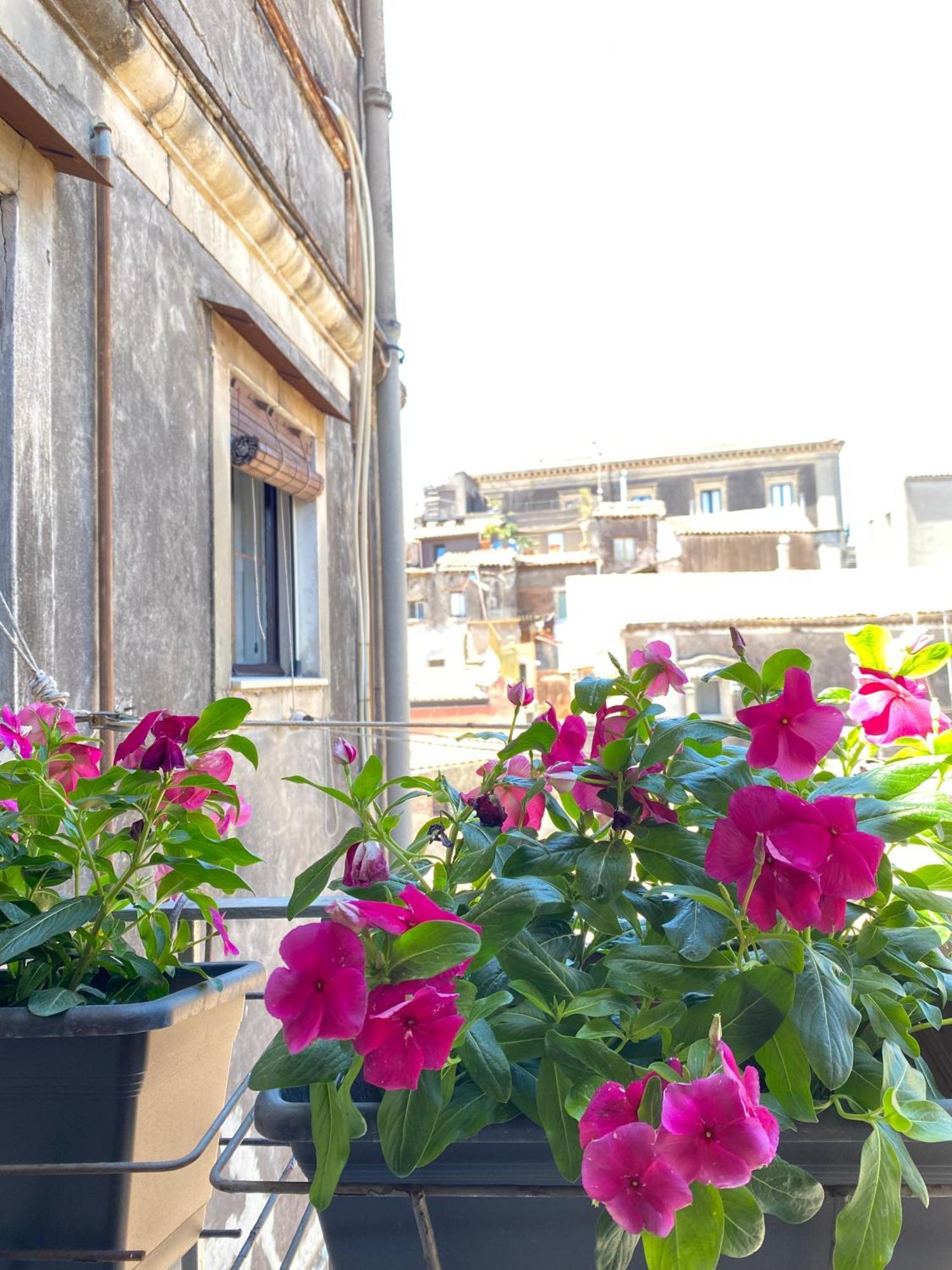 Dimora Dei Minoriti Bed & Breakfast Катания Екстериор снимка